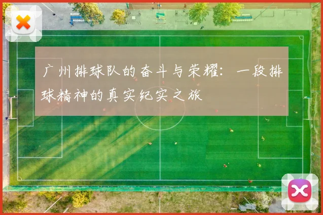 广州排球队的奋斗与荣耀：一段排球精神的真实纪实之旅