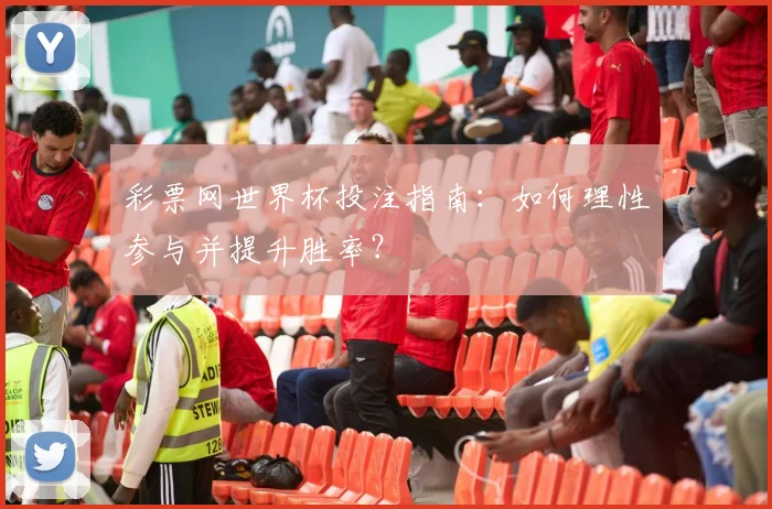 彩票网世界杯投注指南：如何理性参与并提升胜率？